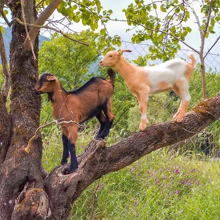 Ninemia And Play Ξενοδοχείο με διαμερίσματα