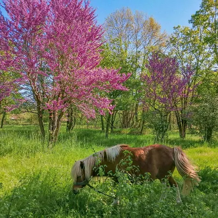 Ninemia And Play Ξενοδοχείο με διαμερίσματα Καρπενήσι