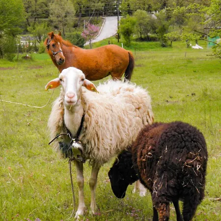 Ninemia And Play 3* Καρπενήσι