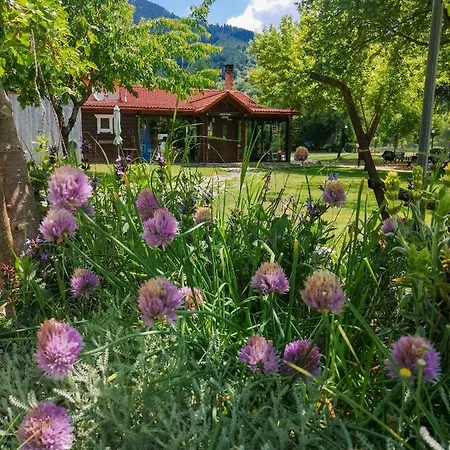 Ninemia Stay&play Hotel apartamentowy