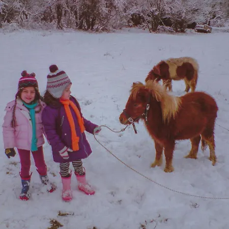 Ξενοδοχείο με διαμερίσματα Ninemia And Play
