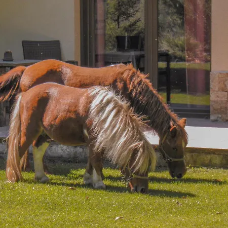 Ninemia And Play Καρπενήσι