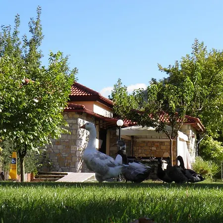 Ξενοδοχείο με διαμερίσματα Ninemia And Play Καρπενήσι