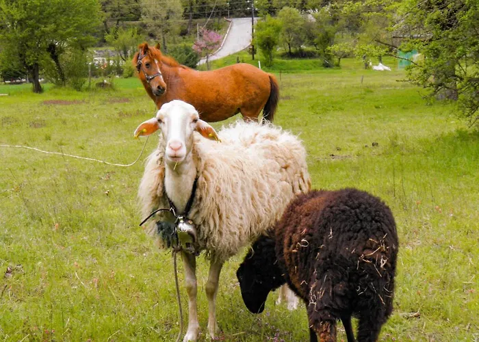 Ninemia And Play 3* Καρπενήσι