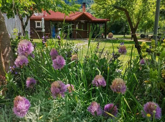 Ninemia And Play Ξενοδοχείο με διαμερίσματα