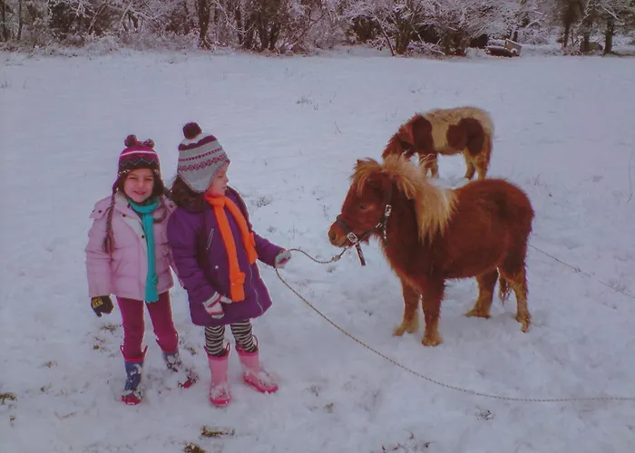 Ξενοδοχείο με διαμερίσματα Ninemia And Play