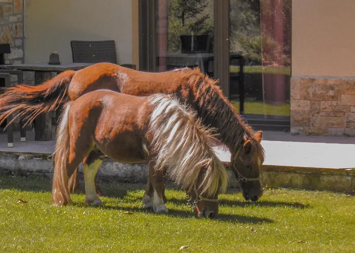 Ninemia And Play Καρπενήσι