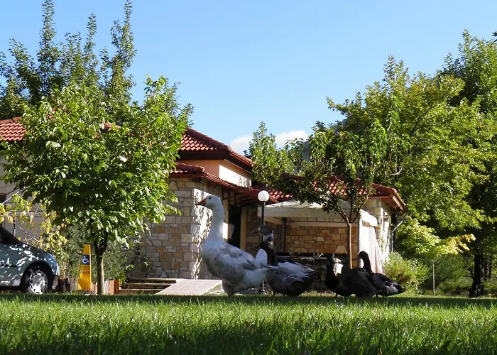 Ξενοδοχείο με διαμερίσματα Ninemia And Play Καρπενήσι